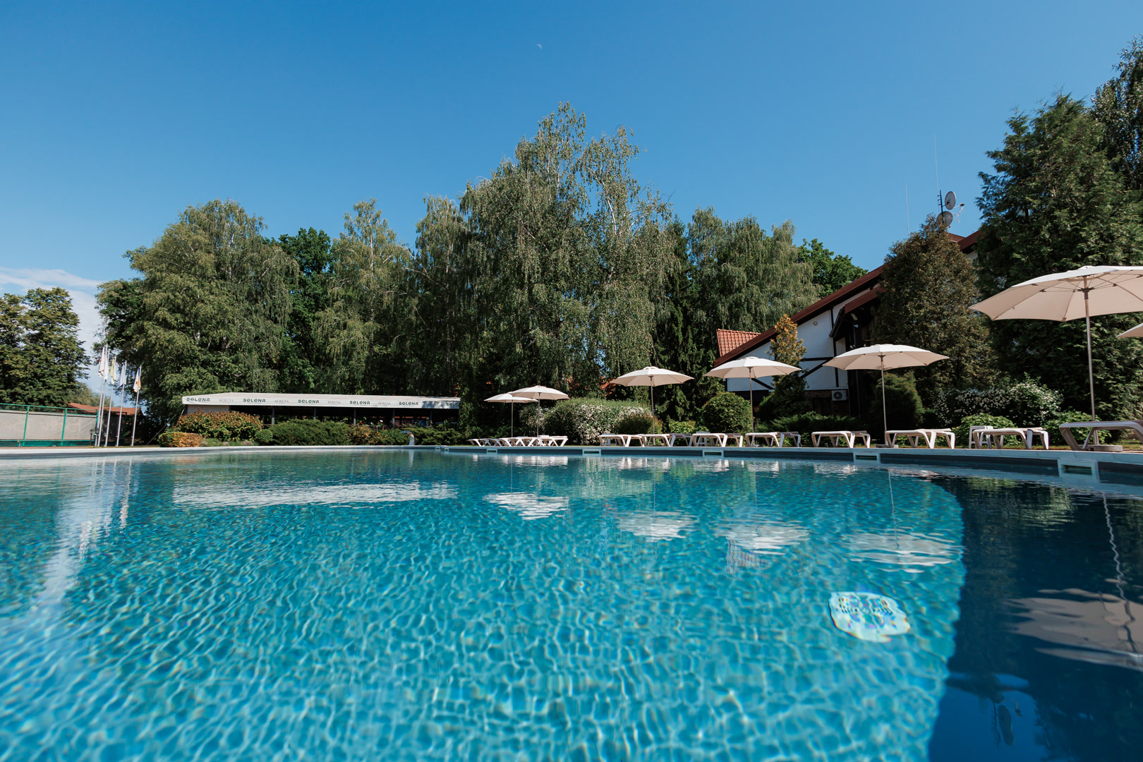 Selena Family Resort - Басейн